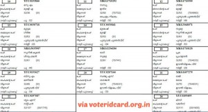list of voters andhra pradesh