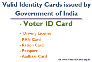 voter ID card documents