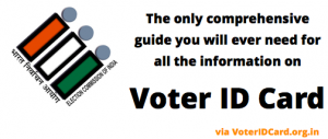 How to apply for a Voter ID Card and its importance