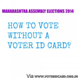 Here is how you can vote without voter id card in the maharashtra assembly elections 2014