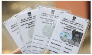 how to get ceo tamil nadu voter id card
