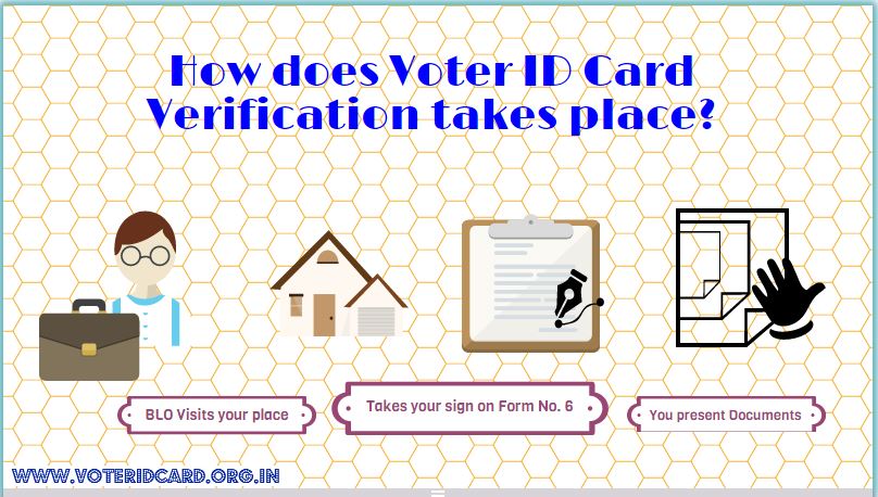 how does the BLOs carry out voter id card verification