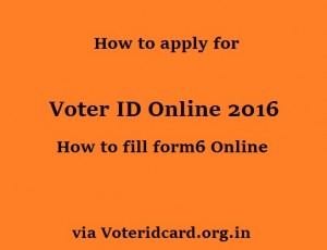 Vote ID Online 2016