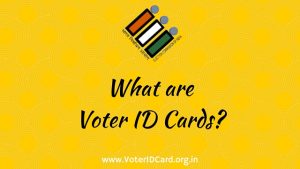 Voter ID Cards
