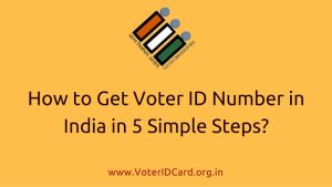 How to Get Voter ID Number in India in 5 Simple Steps